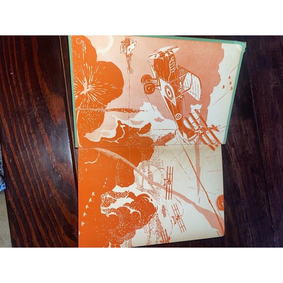 FLYING BLACK BIRDS THOMSON BURTIS AIR COMBAT PLANES 1932 HARDCOVER BOOK Vintage - Picture 3 of 9